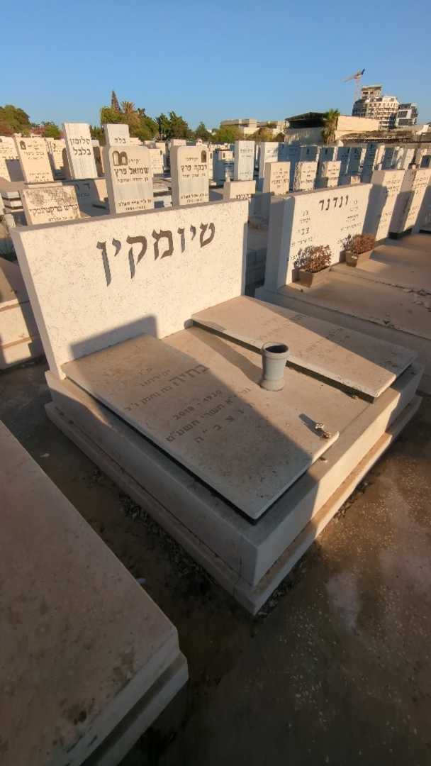 קברו של חנוך טיומקין. תמונה 2