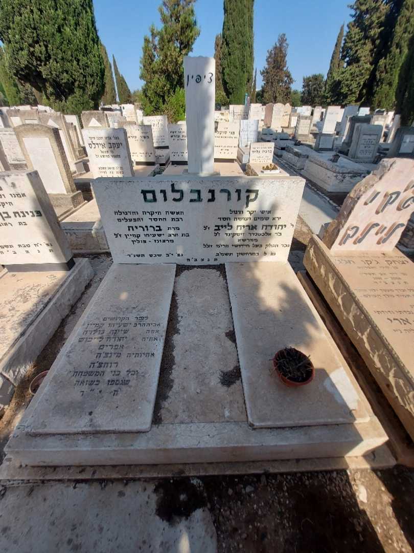 קברו של יהודה אירה לייב קורנבלום. תמונה 2