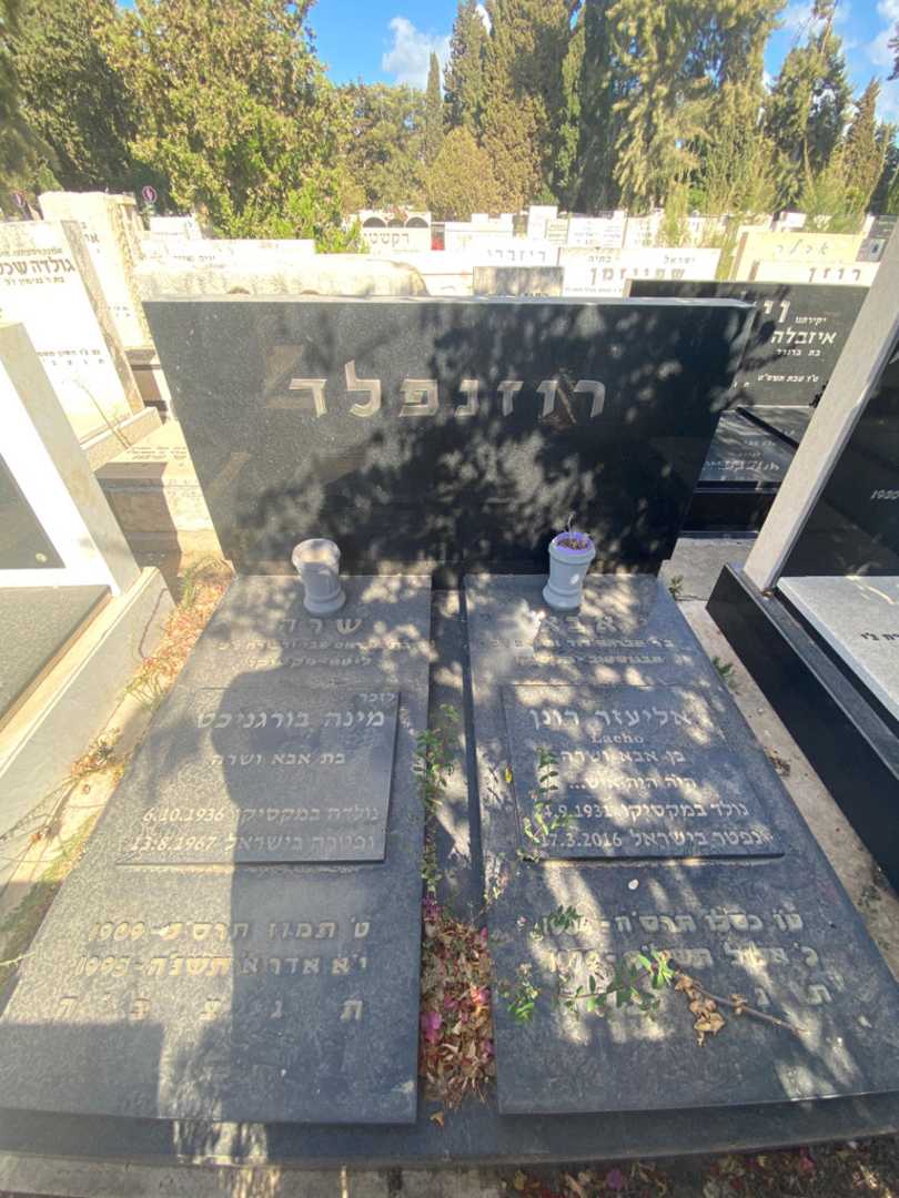 קברו של אבא רוזנפלד. תמונה 1