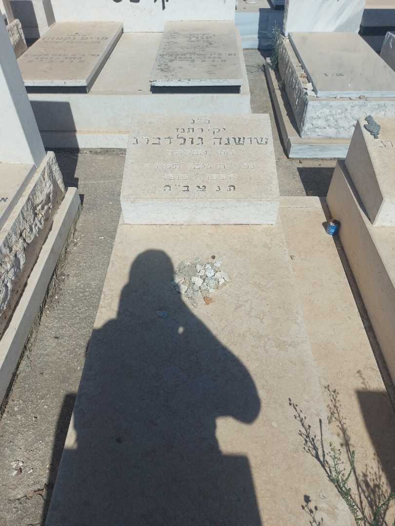 קברו של שושנה גולדברג. תמונה 1