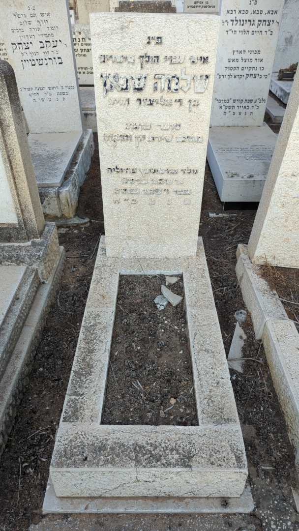 קברו של שלמה שפאן