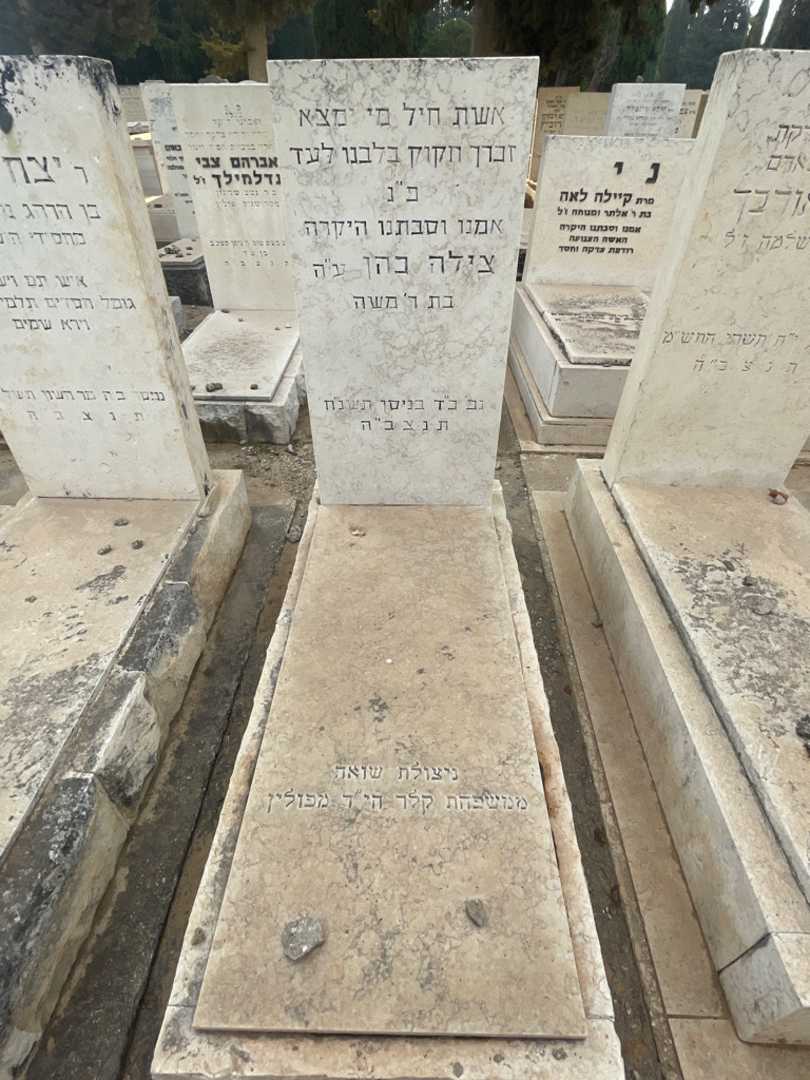 קברו של צילה כהן