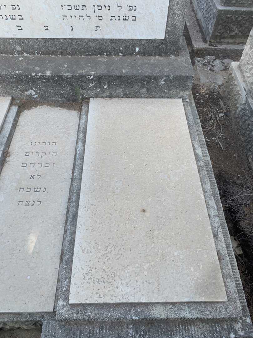 קברו של שרה סזניוב. תמונה 2
