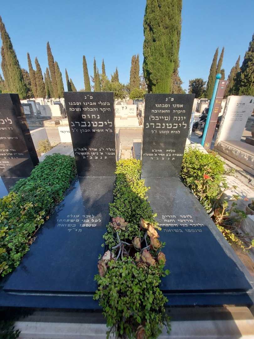 קברו של יונה "טייבל" ליכטנברג. תמונה 2