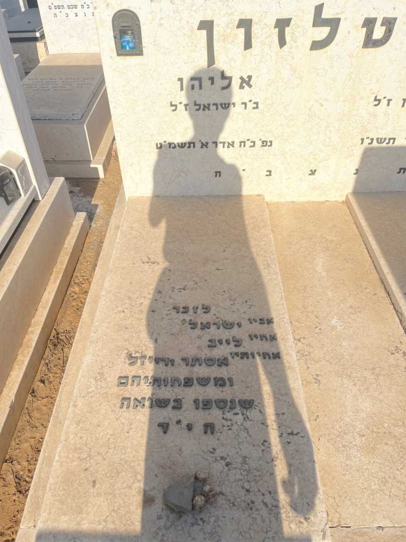קברו של אליהו ויטלזון. תמונה 1