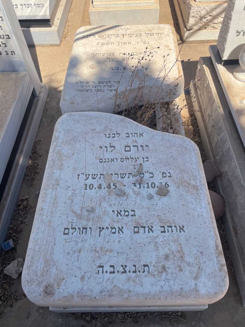 קברו של יורם לוי