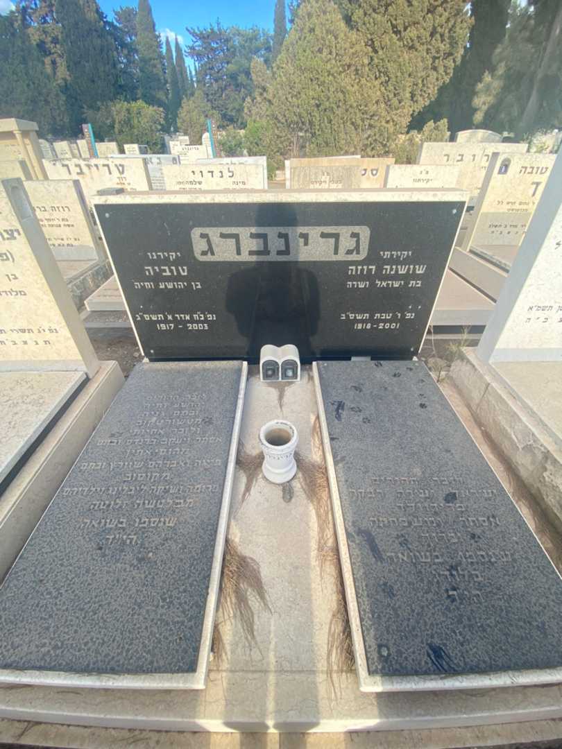 קברו של טוביה גרינברג. תמונה 1