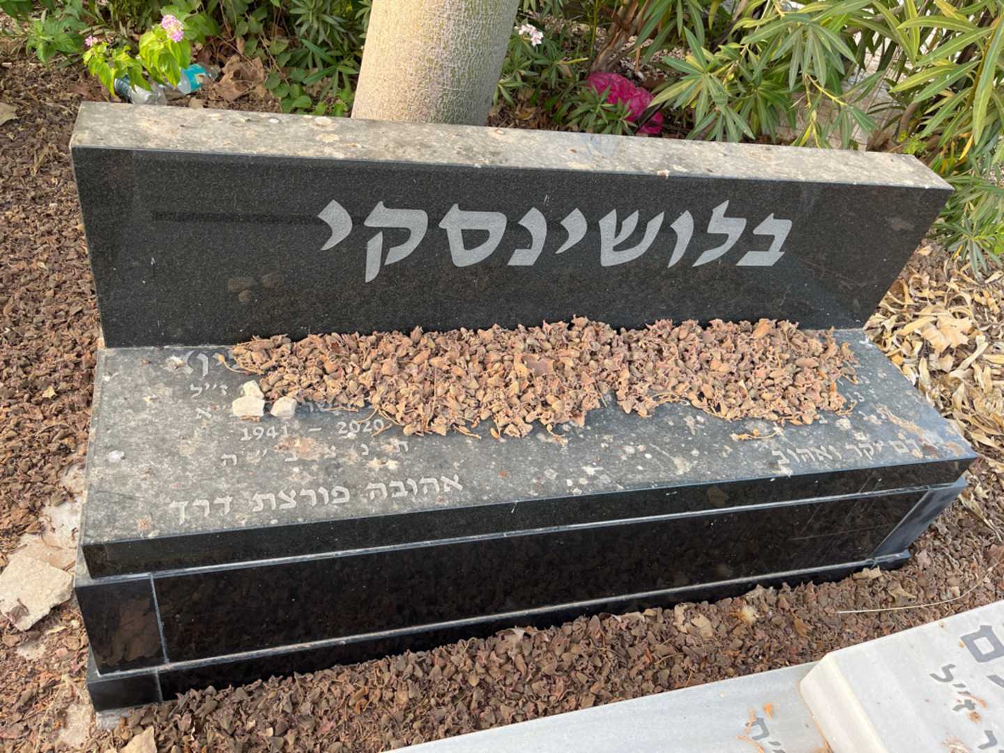 קברו של מנחם בלושינסקי. תמונה 1