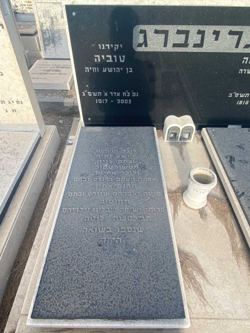 קברו של טוביה גרינברג. תמונה 2