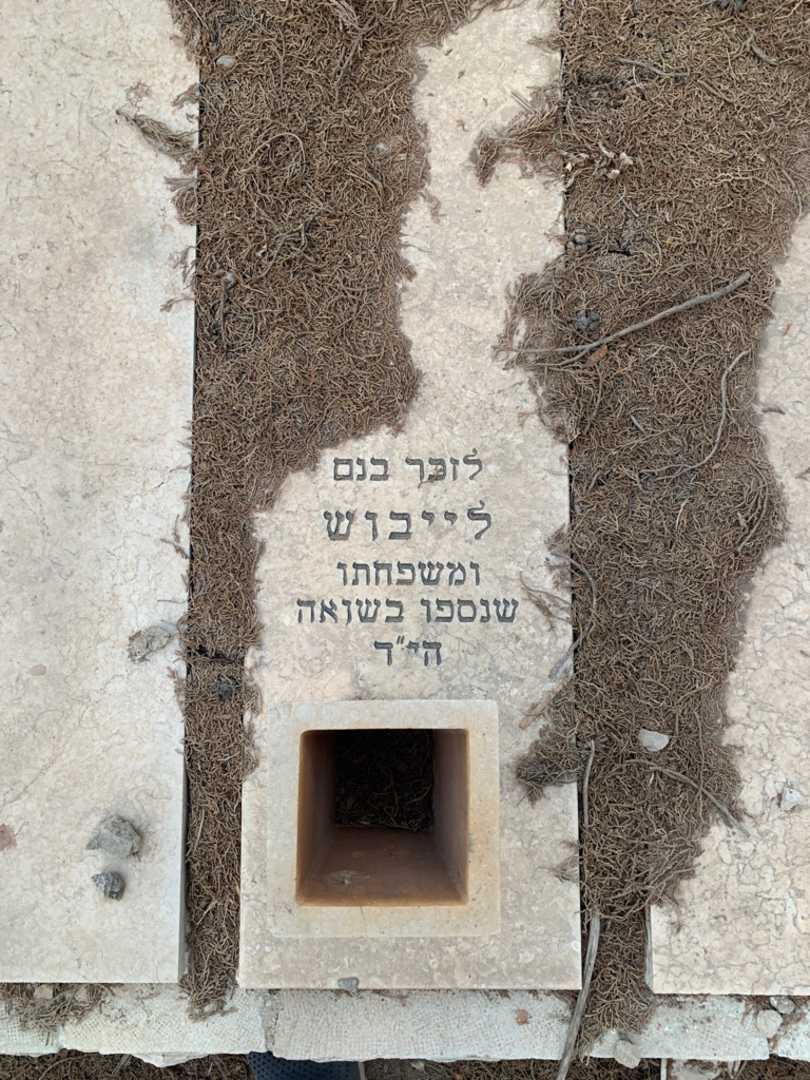 קברו של יהודית לוין. תמונה 2