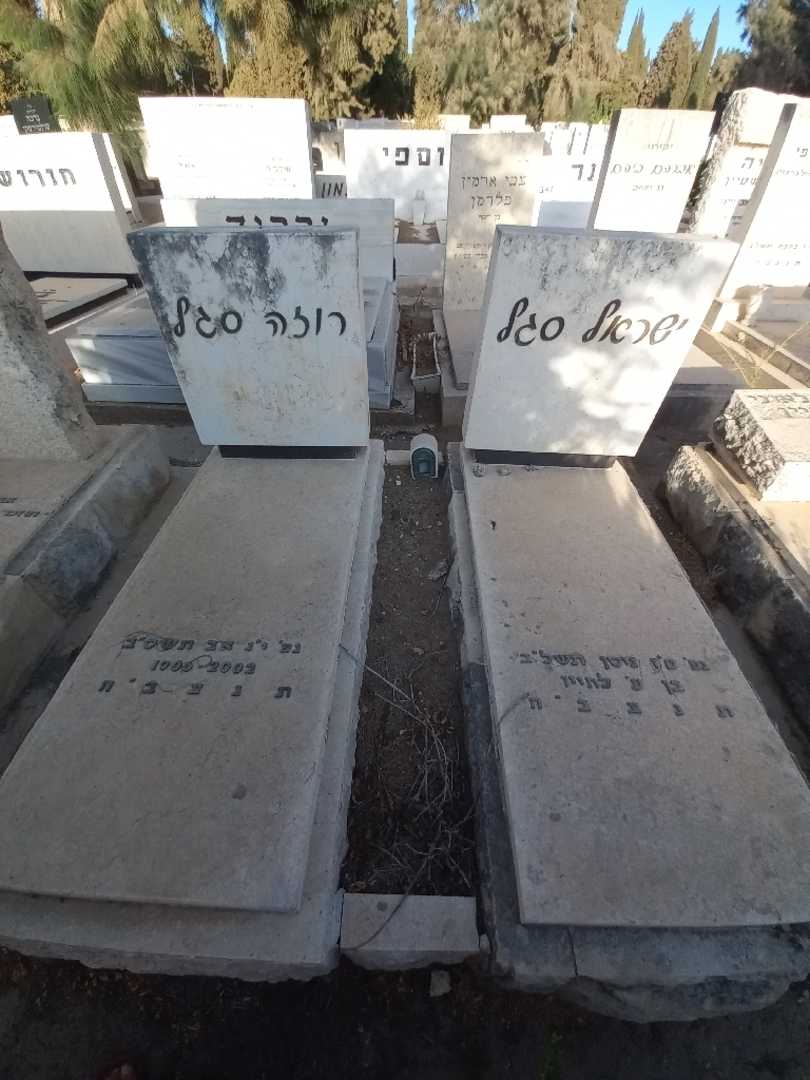 קברו של רוזה סגל. תמונה 2