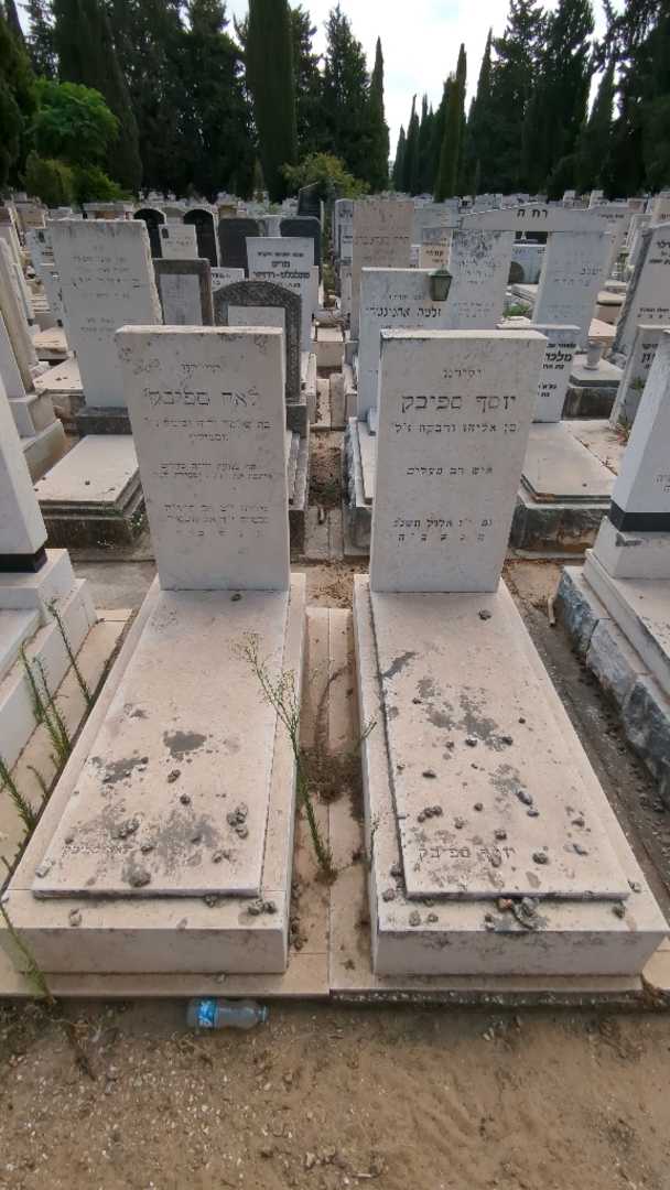 קברו של יוסף ספיבק. תמונה 2