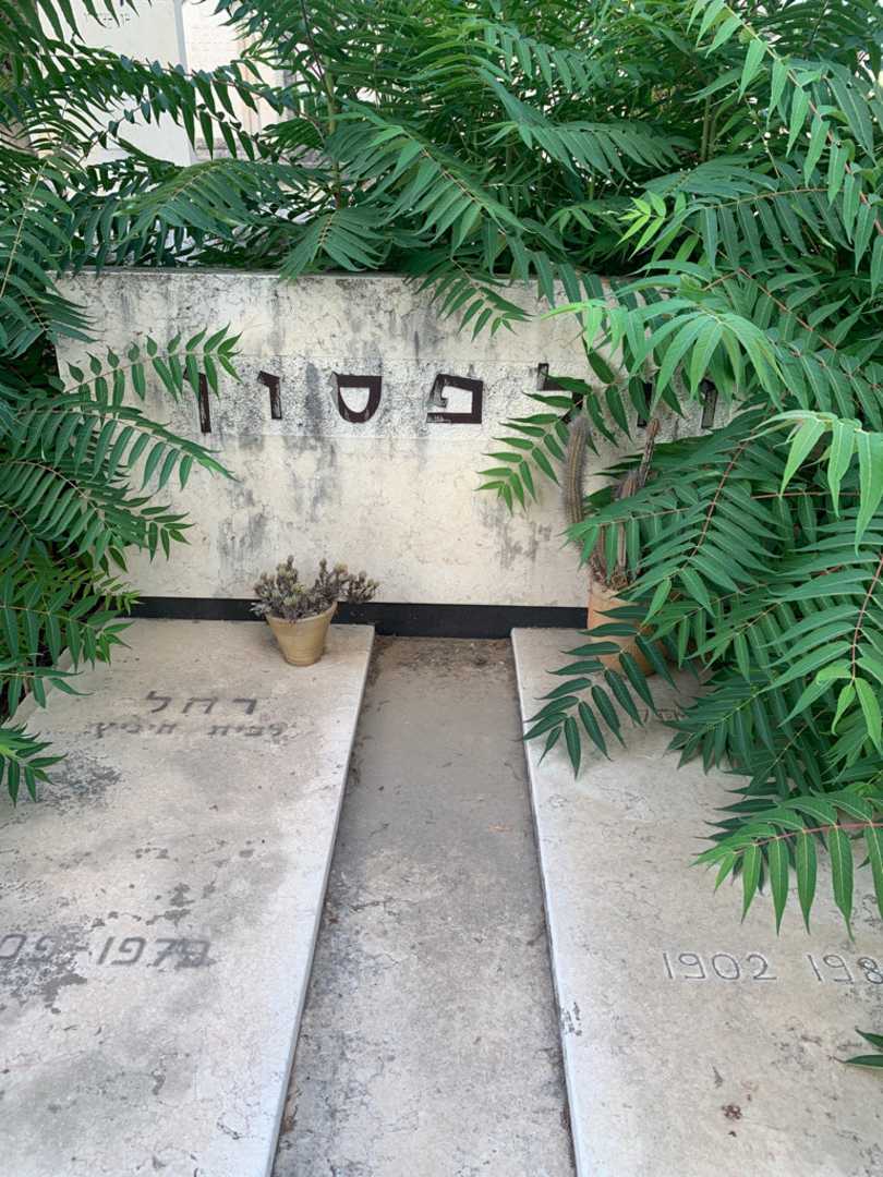 קברו של רחל וולפסון. תמונה 1