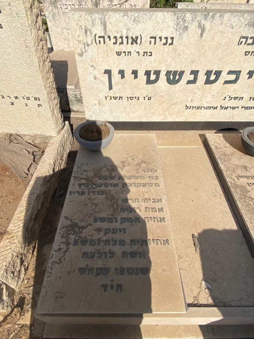 קברו של גניה "אוגניה" ליכטנשטיין. תמונה 1