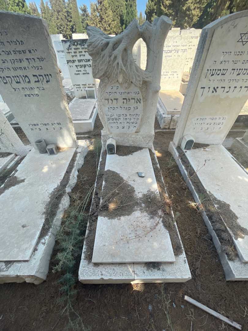 קברו של אריה דוד