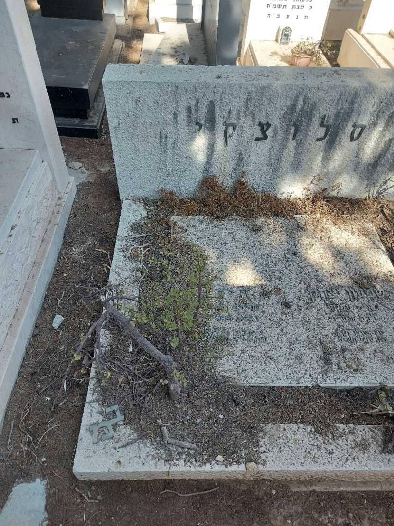 קברו של חיה סלוצקי. תמונה 1