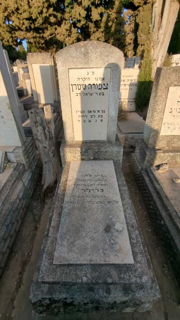 קברו של יוסף ברילר