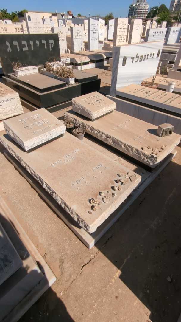 קברו של אברהם ספיר. תמונה 2