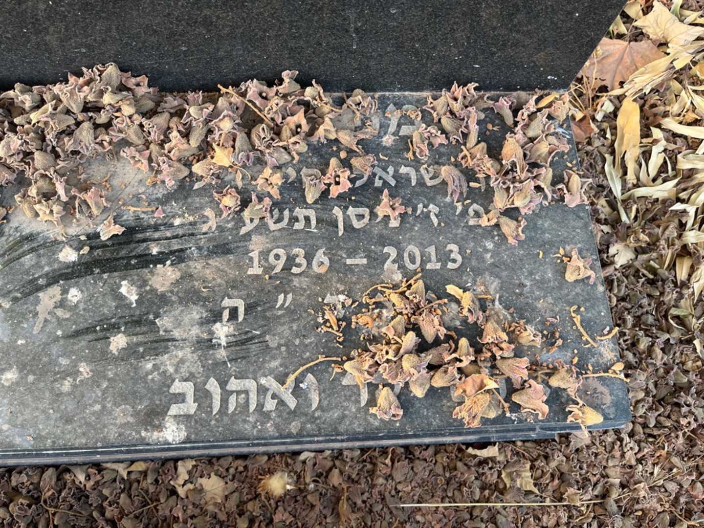 קברו של מנחם בלושינסקי. תמונה 2
