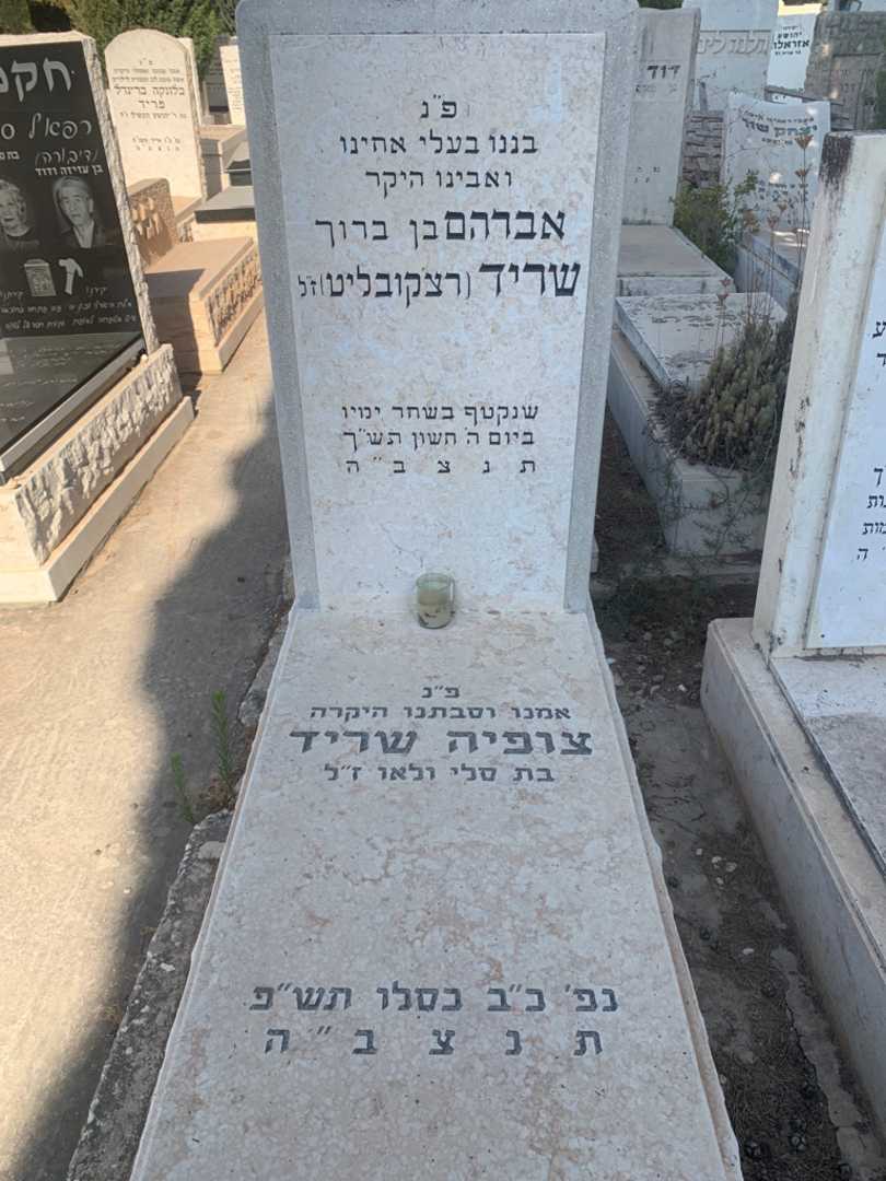 קברו של צופיה שריד