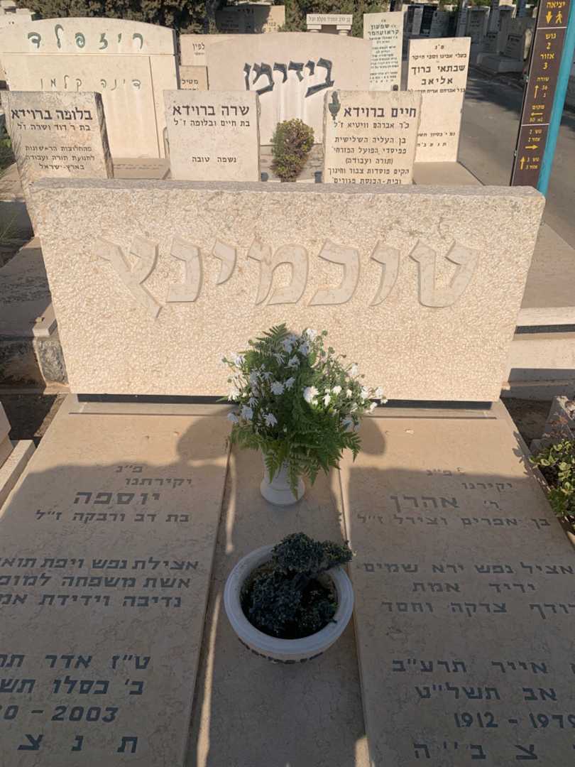 קברו של אהרן טוכמינץ. תמונה 1