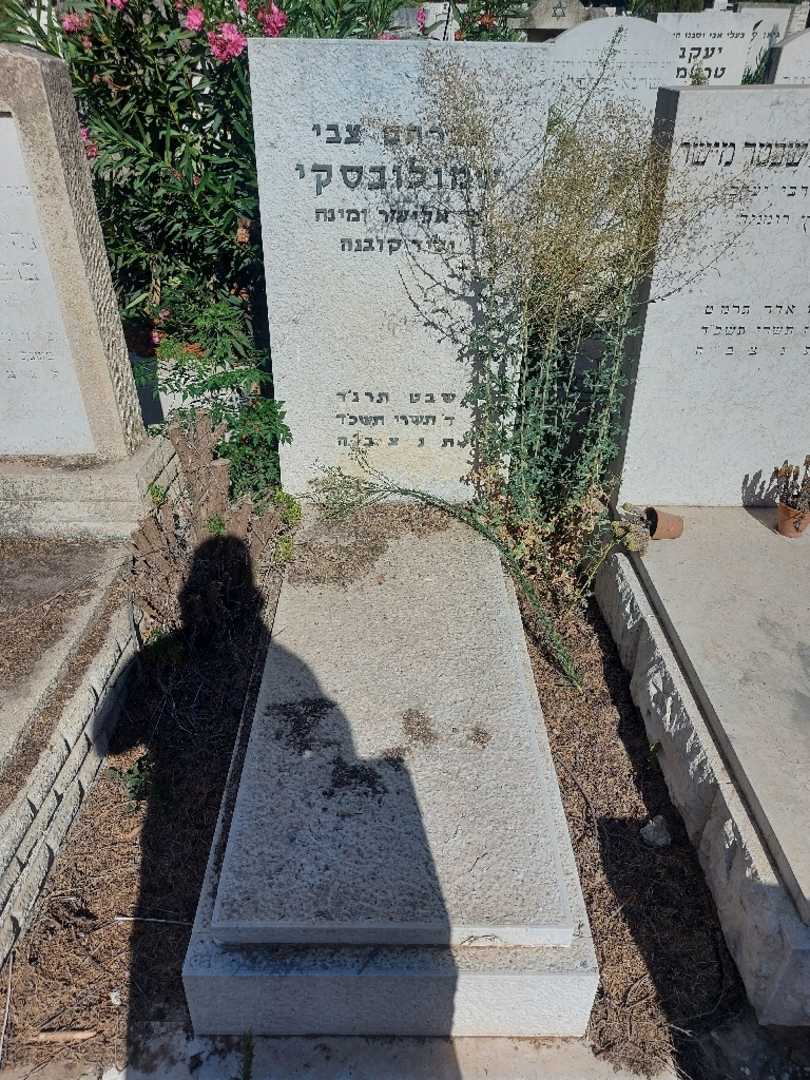 קברו של אברהם צבי שמולובסקי