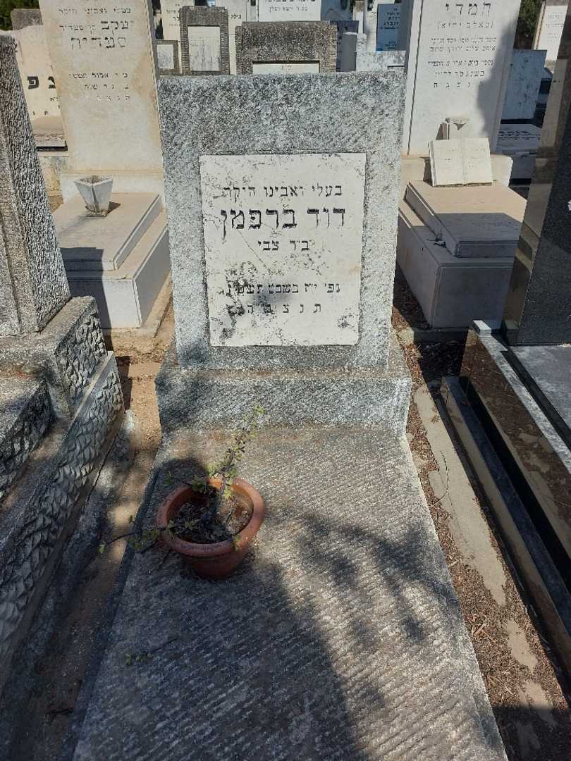 קברו של דוד ברפמן