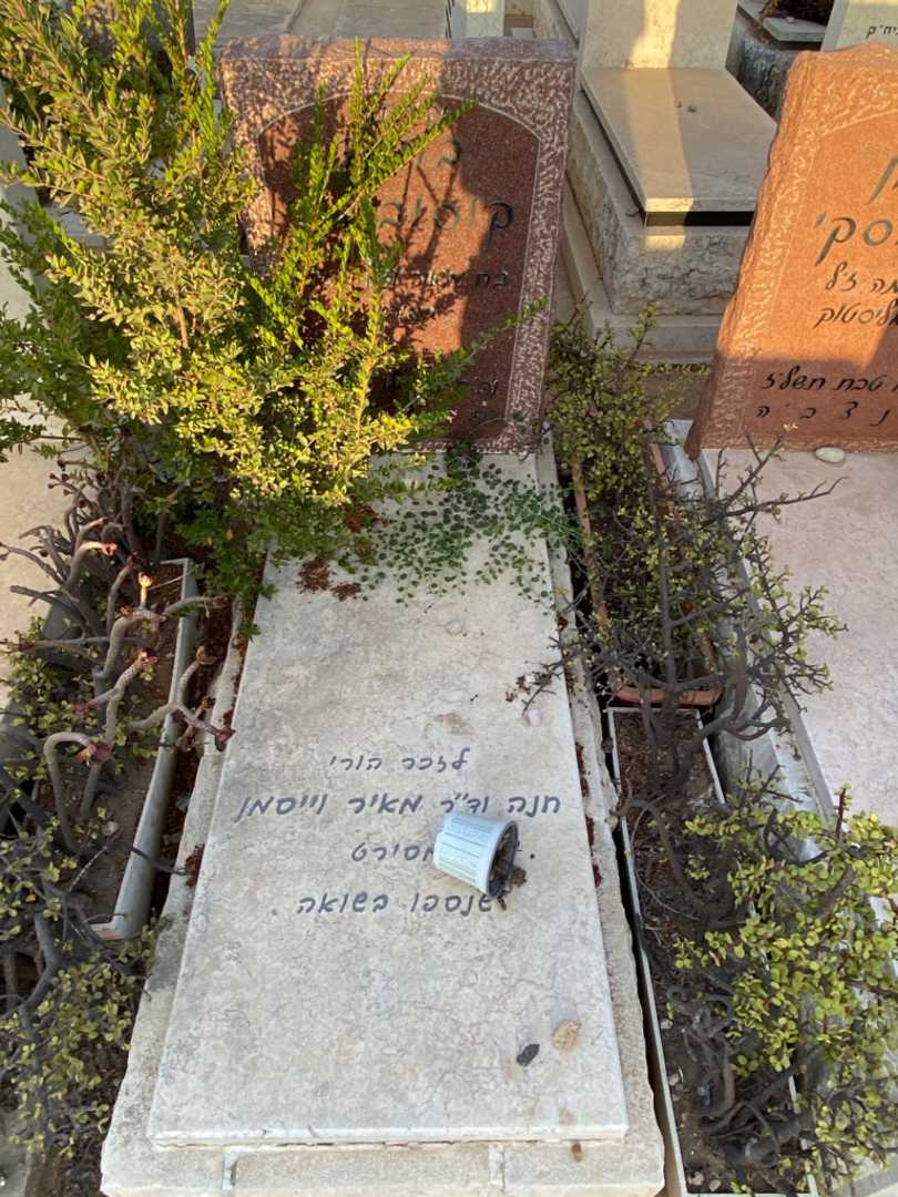 קברו של מאיר וייסמן. תמונה 1