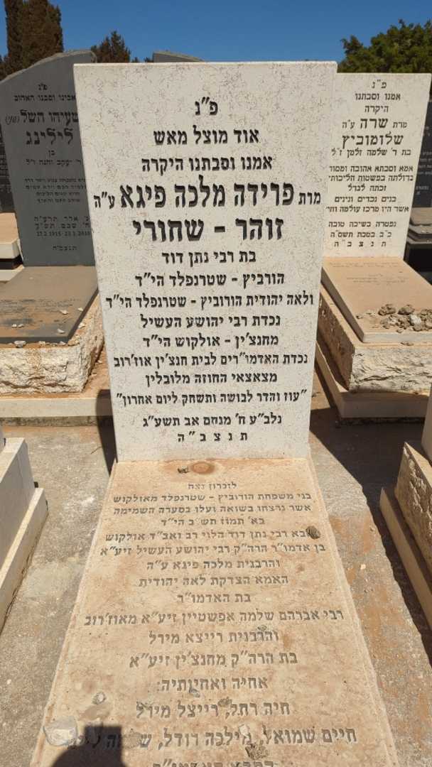 קברו של נתן דוד הלוי הורביץ-שטרנפלד