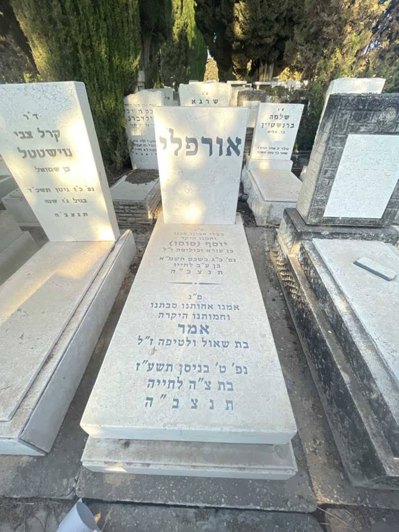 קברו של יוסף "סוסו" אורפלי