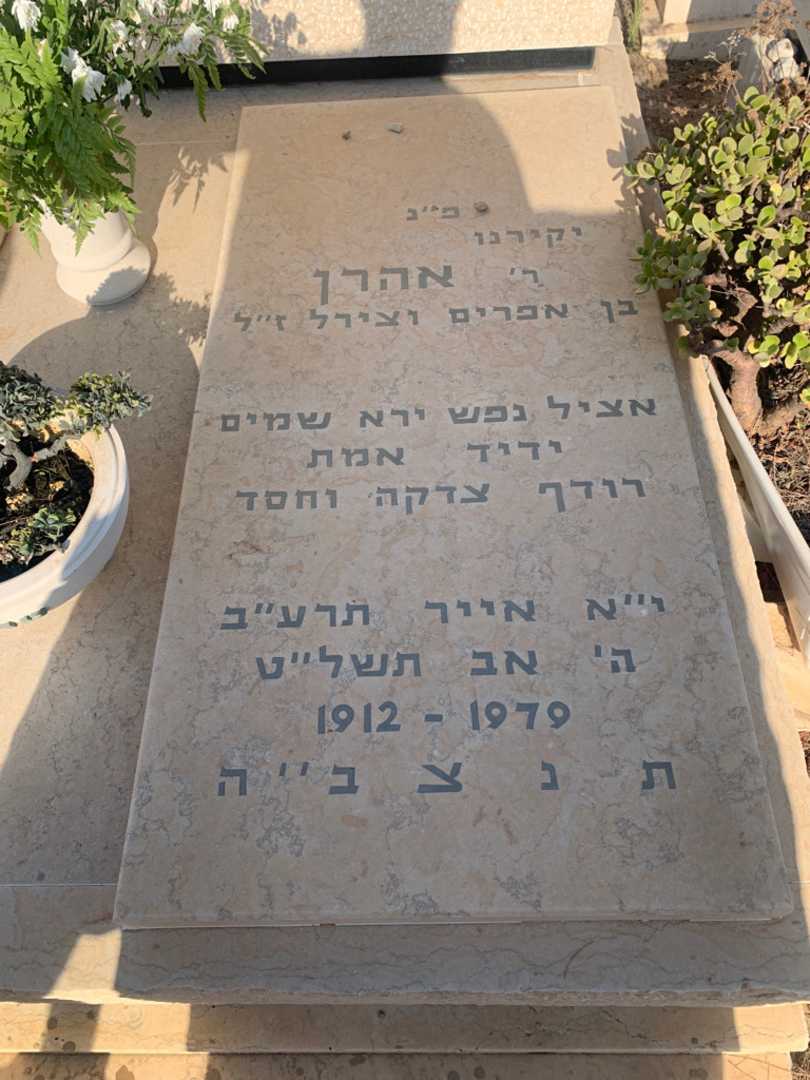 קברו של אהרן טוכמינץ. תמונה 2