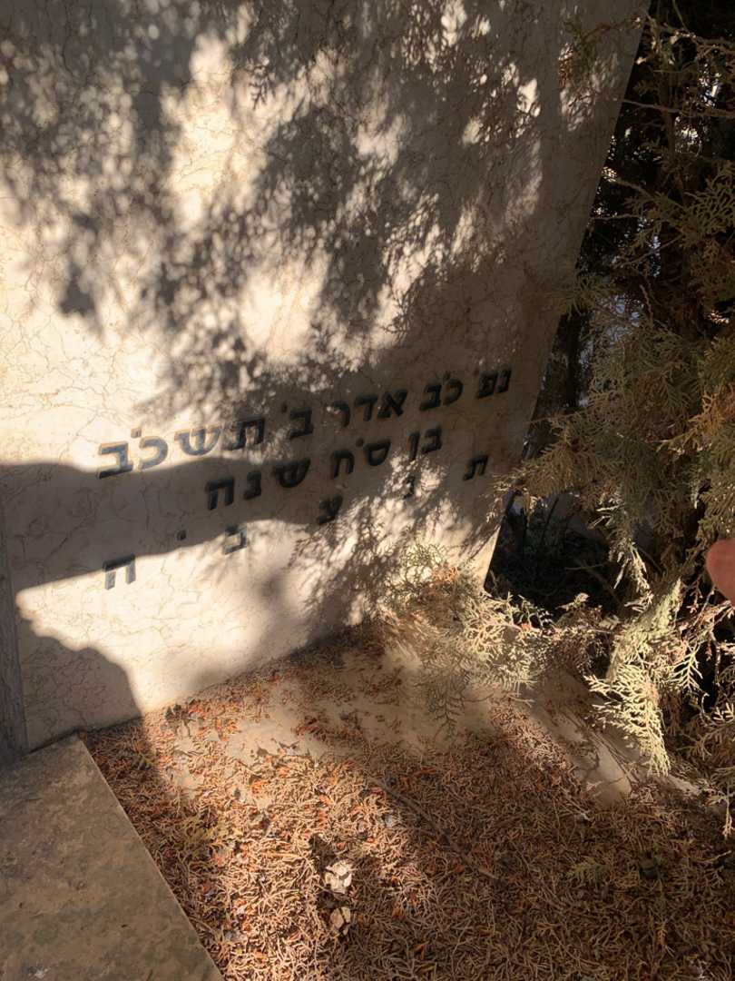 קברו של דב ברל וימן. תמונה 4