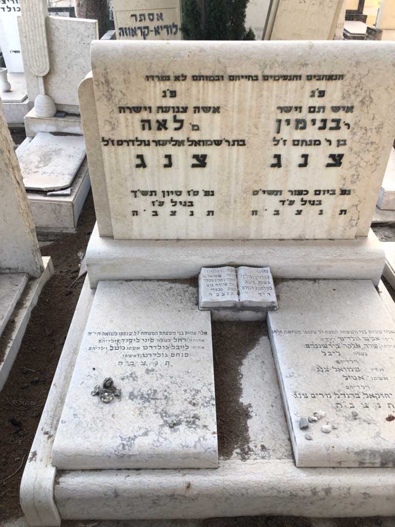 קברו של לאה צנג. תמונה 1