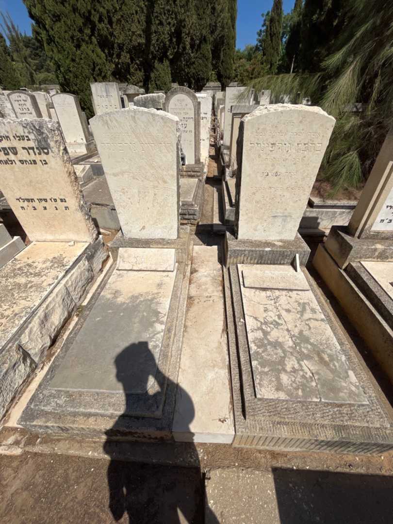 קברו של דוד חיים גורפינקל. תמונה 1