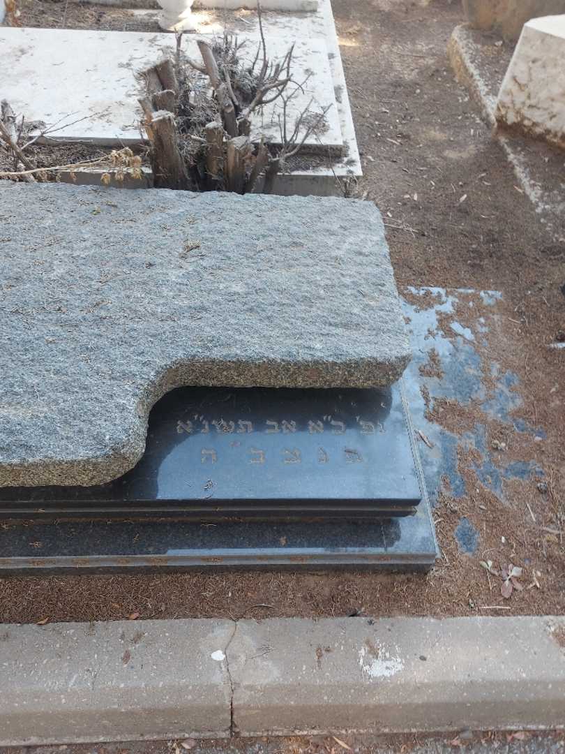 קברו של ישעיהו זליג זילבר. תמונה 2