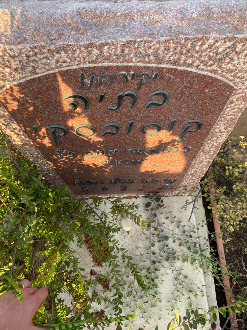 קברו של מאיר וייסמן. תמונה 2