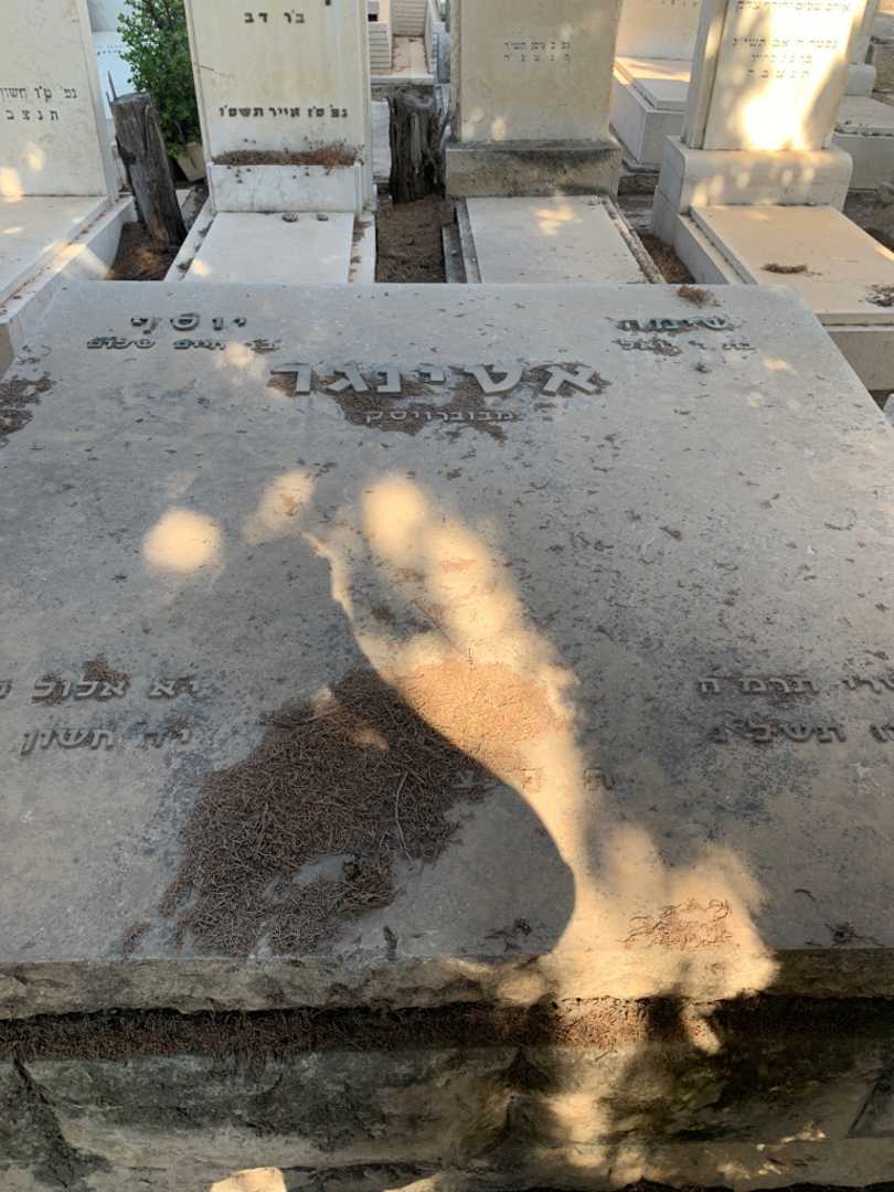 קברו של שימה אטינגר. תמונה 1