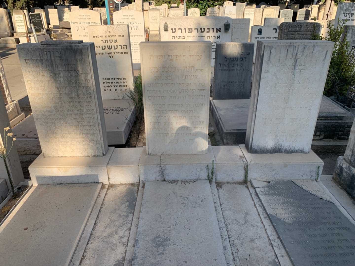 קברו של צפורה ליפשיץ. תמונה 1