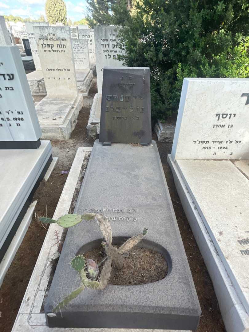 קברו של פנחס גולדברג