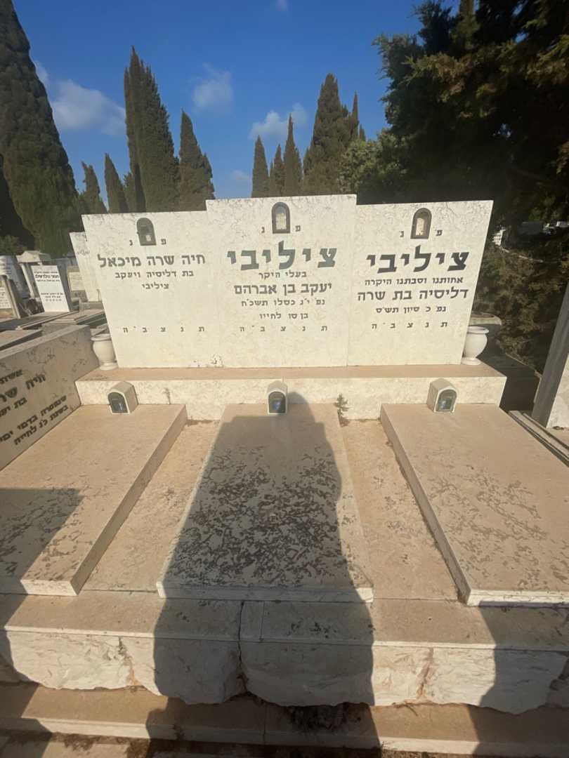 קברו של דליסיה ציליבי. תמונה 1