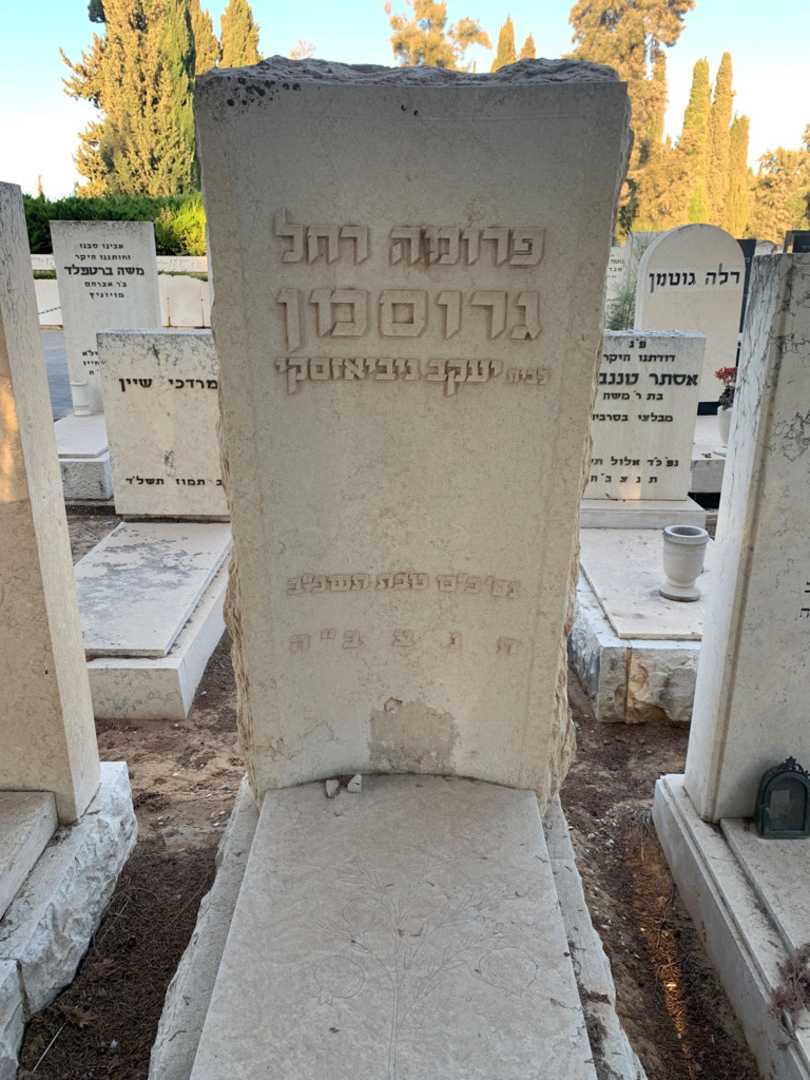 קברו של פרומה רחל גרוסמן. תמונה 1