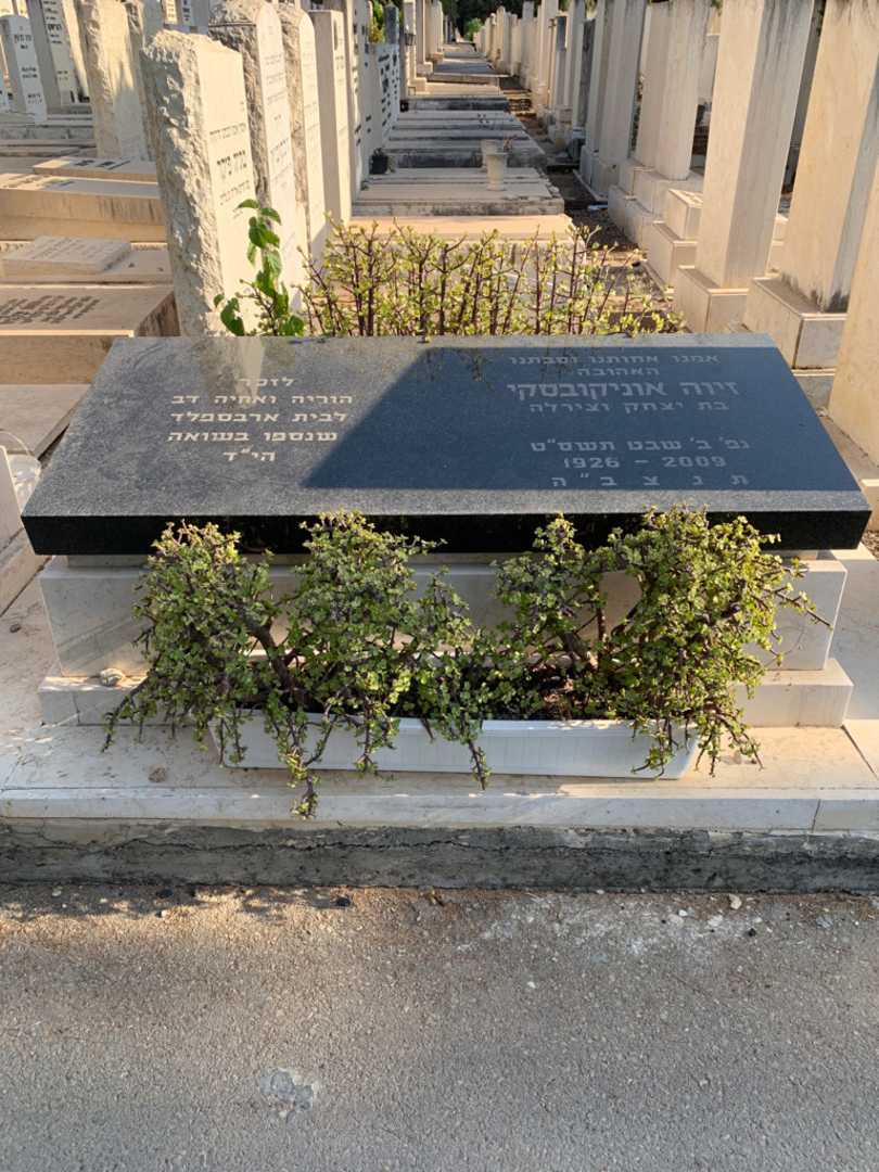 קברו של דב ארבספלד