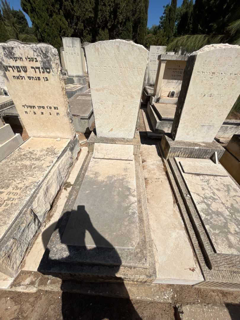 קברו של דוד חיים גורפינקל. תמונה 2