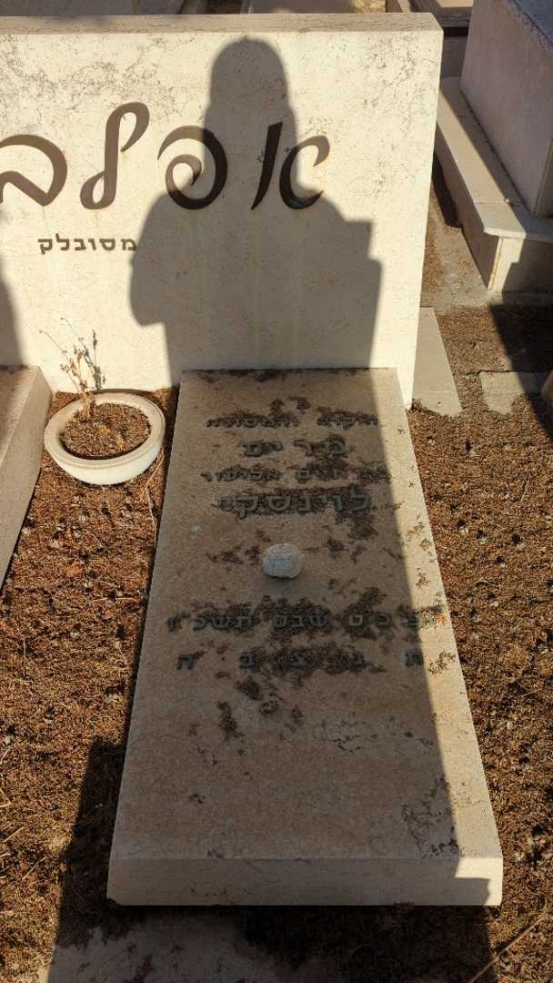 קברו של חיים אליעזר "אפלבוים" לוינסקי. תמונה 2