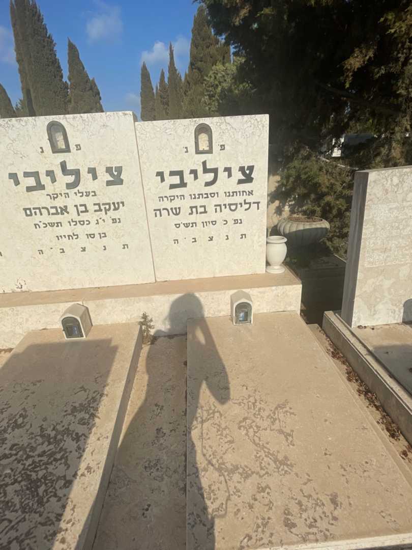 קברו של דליסיה ציליבי. תמונה 2