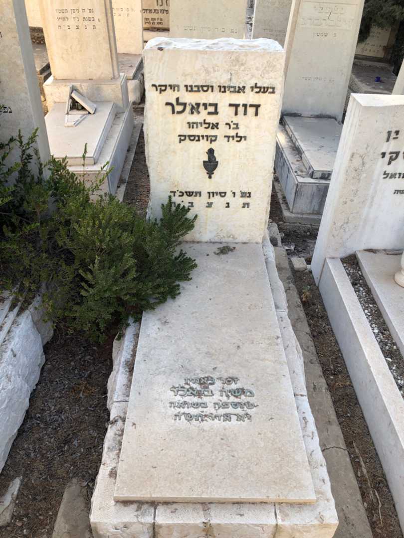 קברו של דוד ביאלר