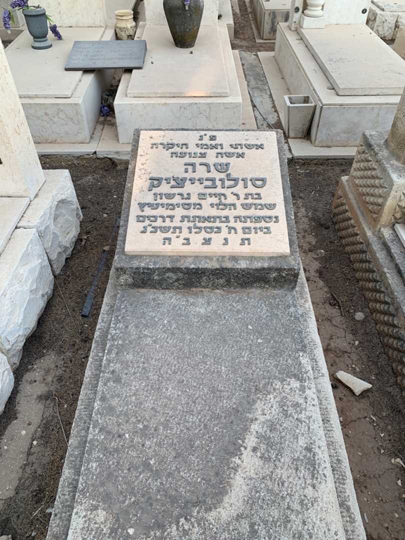 קברו של שרה סולובייציק