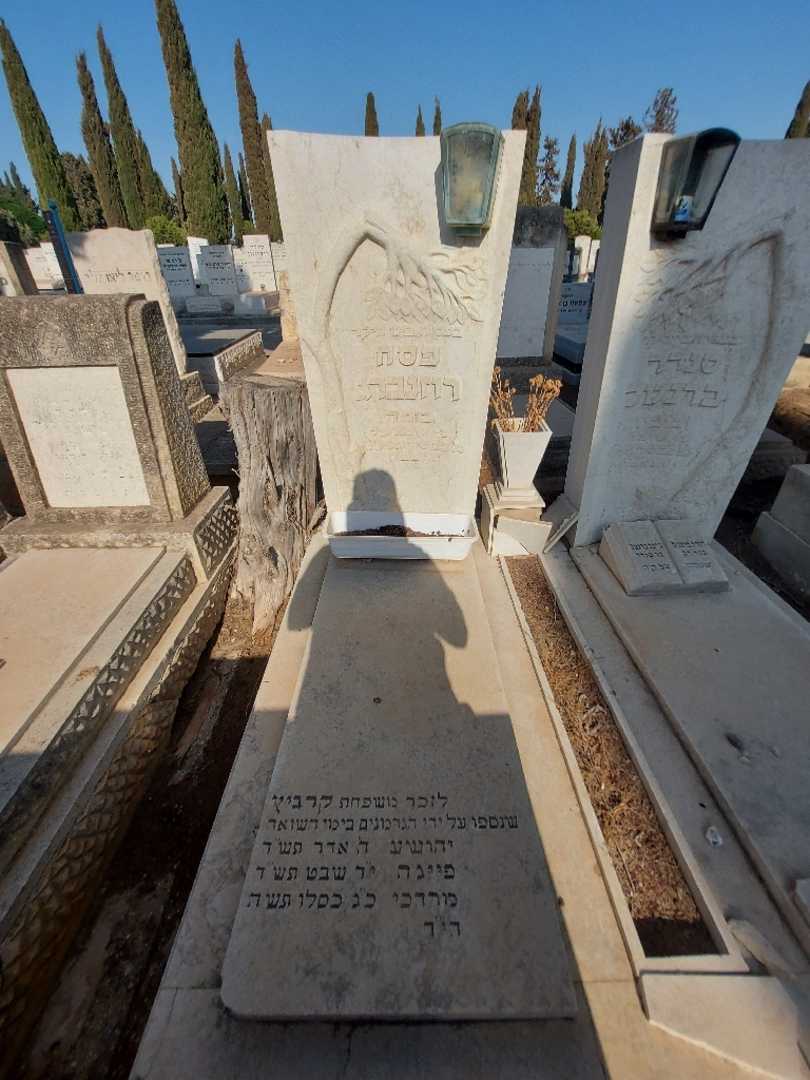 קברו של פייגה קרביץ. תמונה 1