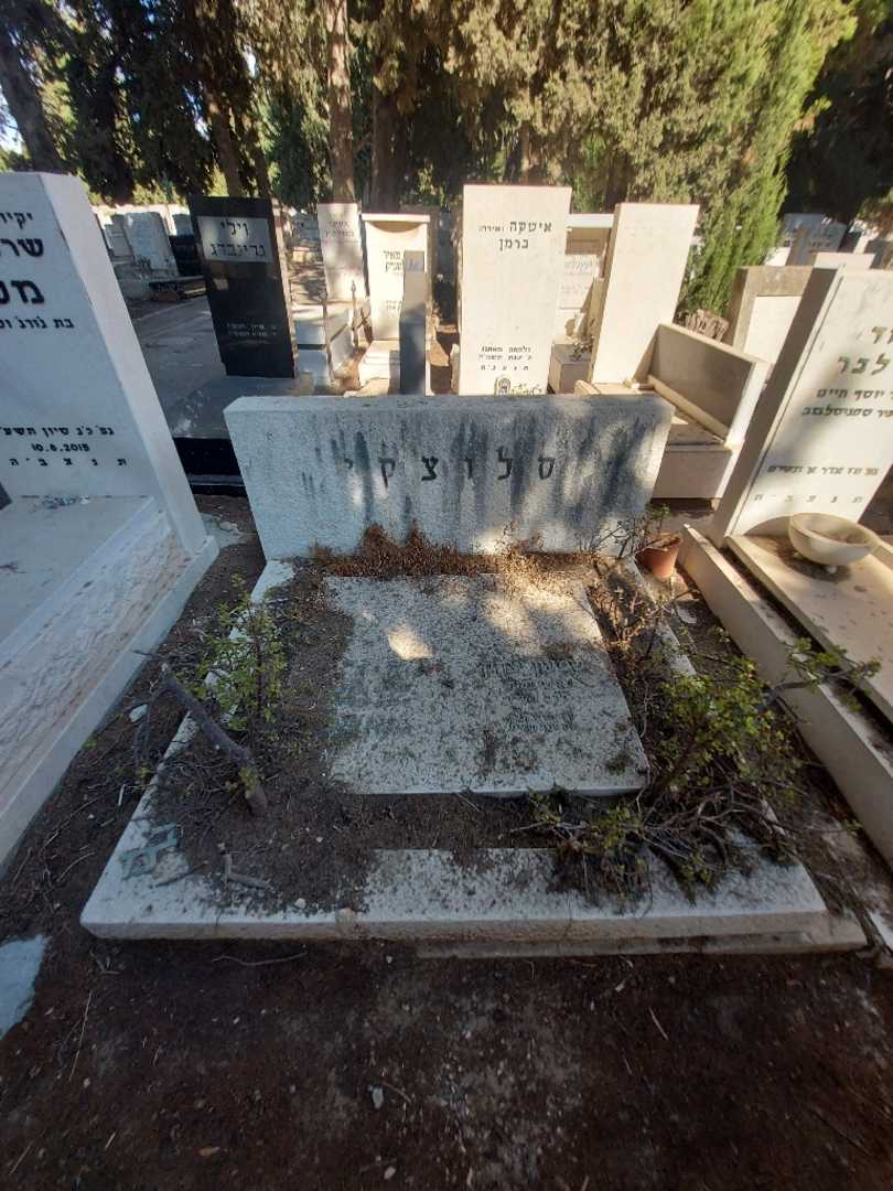 קברו של שמעון יצחק סלוצקי. תמונה 1