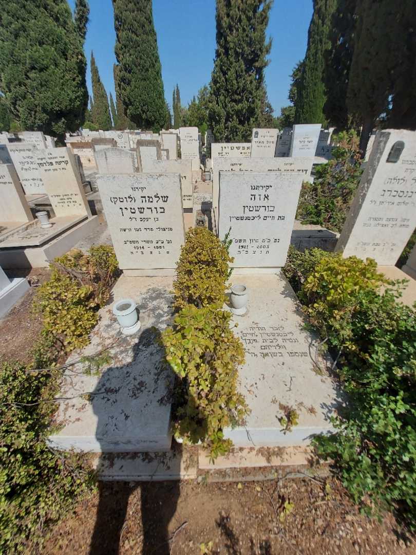 קברו של שלמה "לוטק" בורשטין. תמונה 1